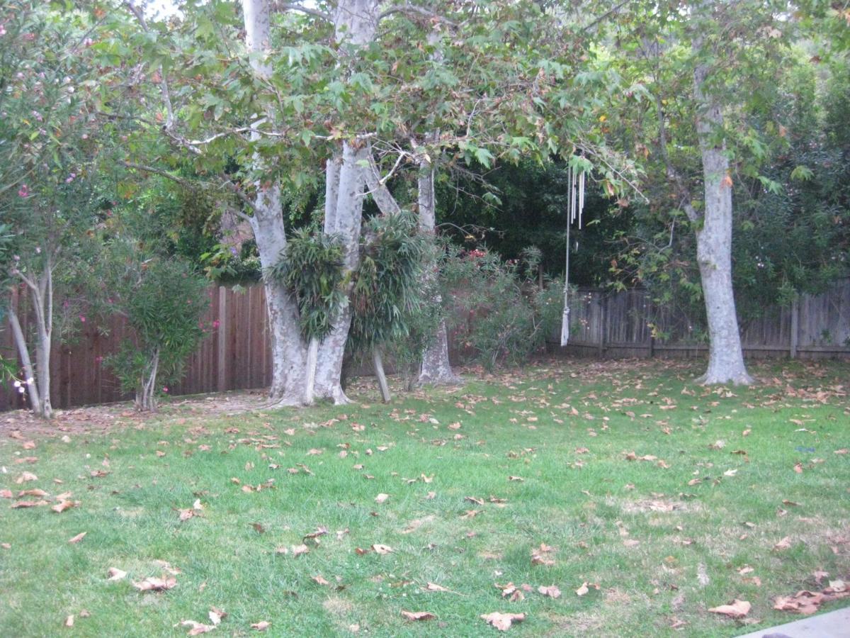Heaven'S Best Kept Secret 4 Min From The Sea Los Ángeles Exterior foto
